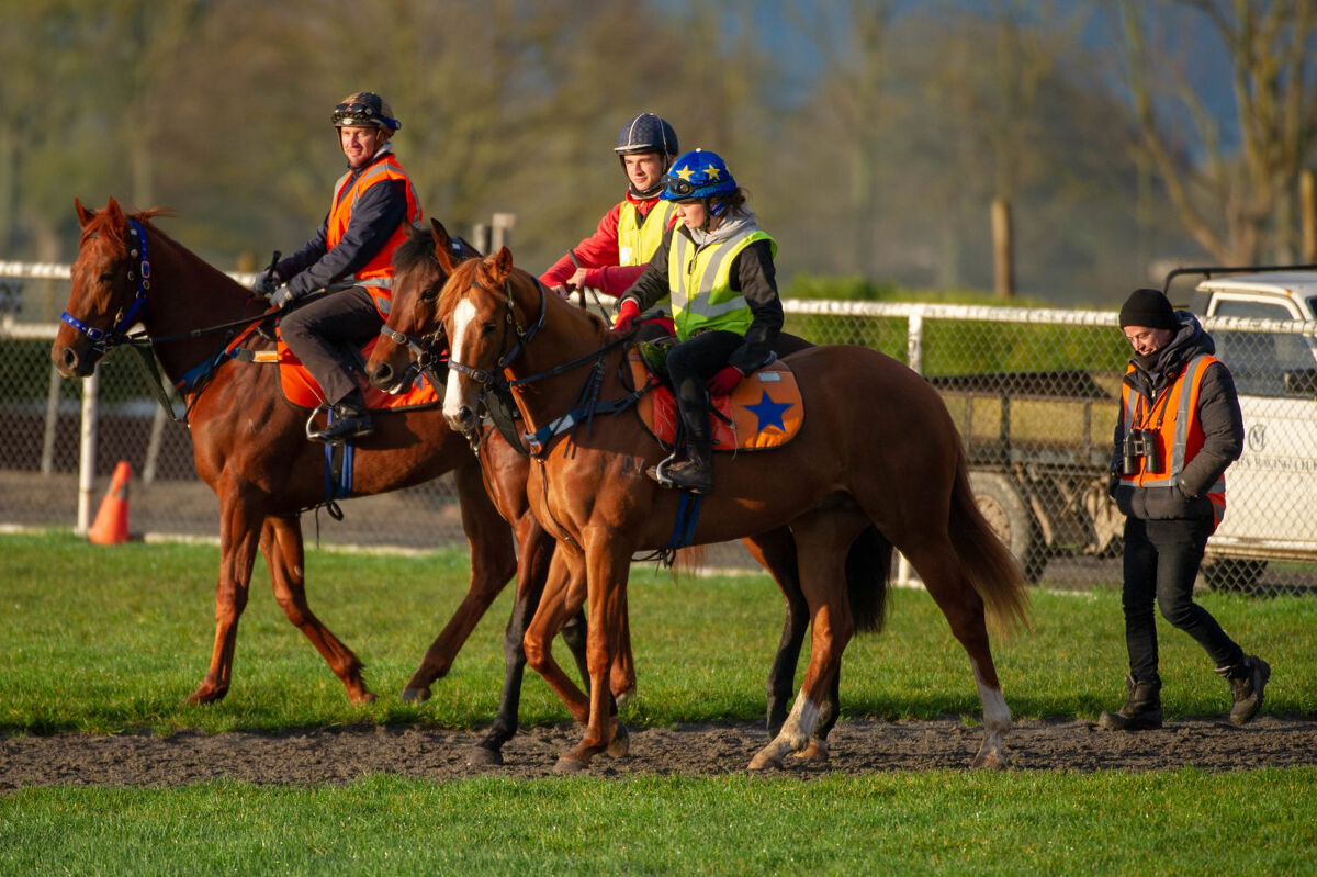 Te Akau Tuesday Trackwork