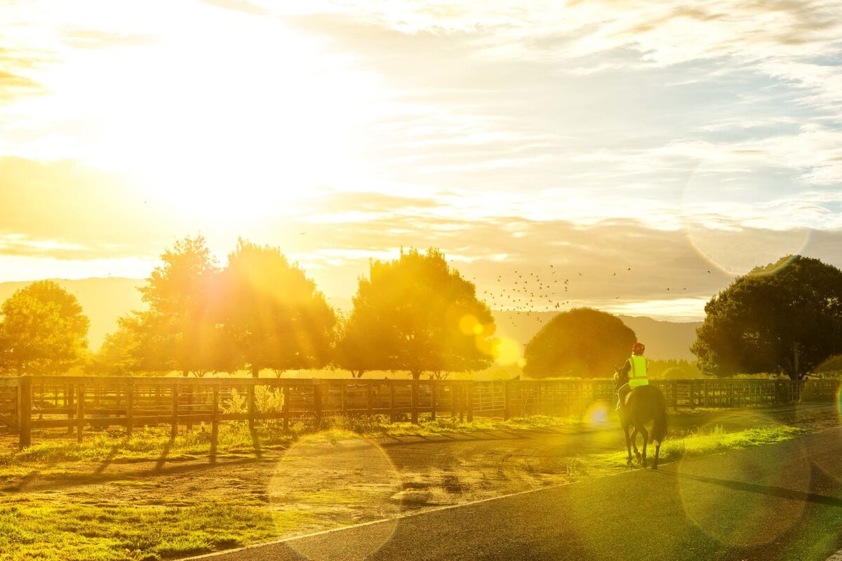 Te Akau Weekend Trackwork