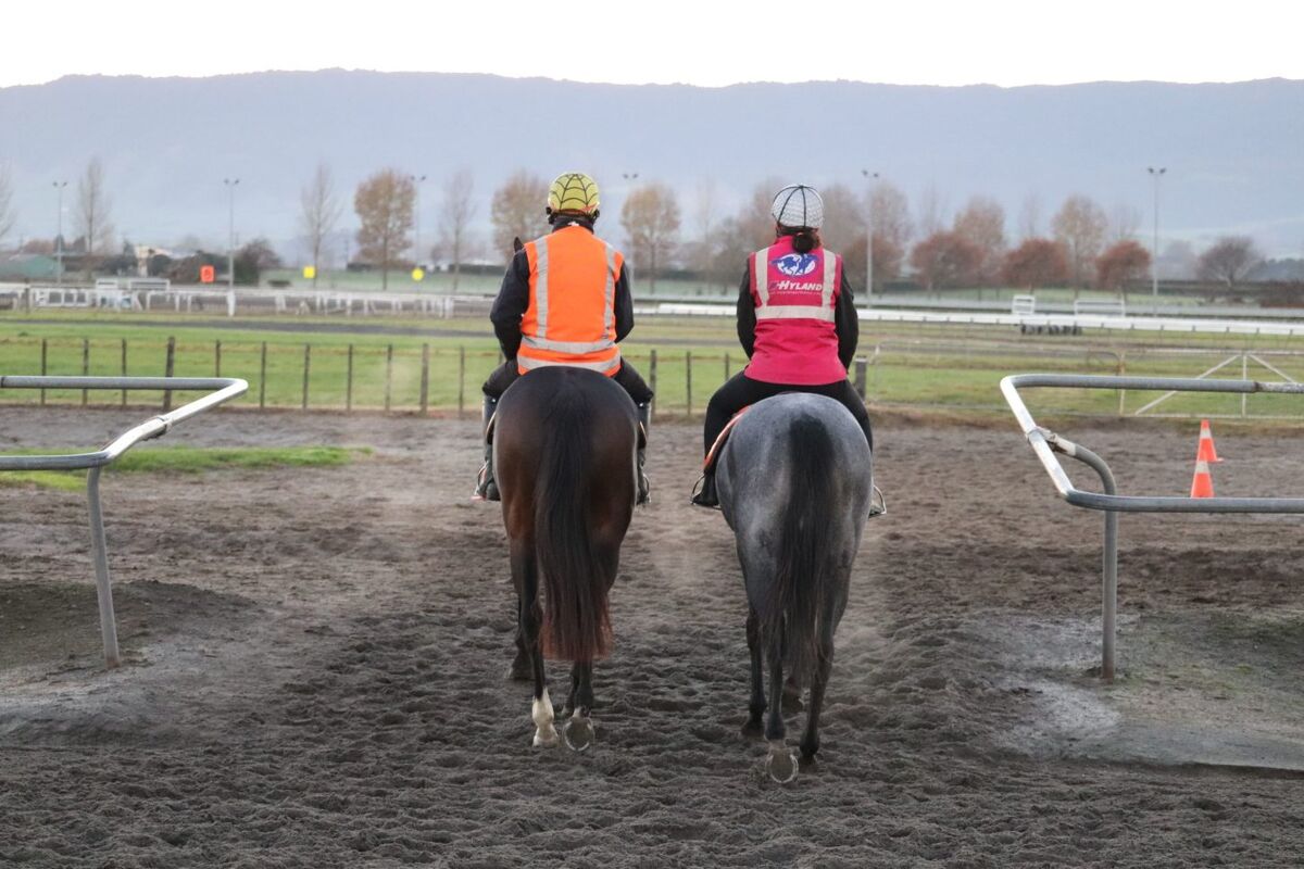 Te Akau Weekend Trackwork