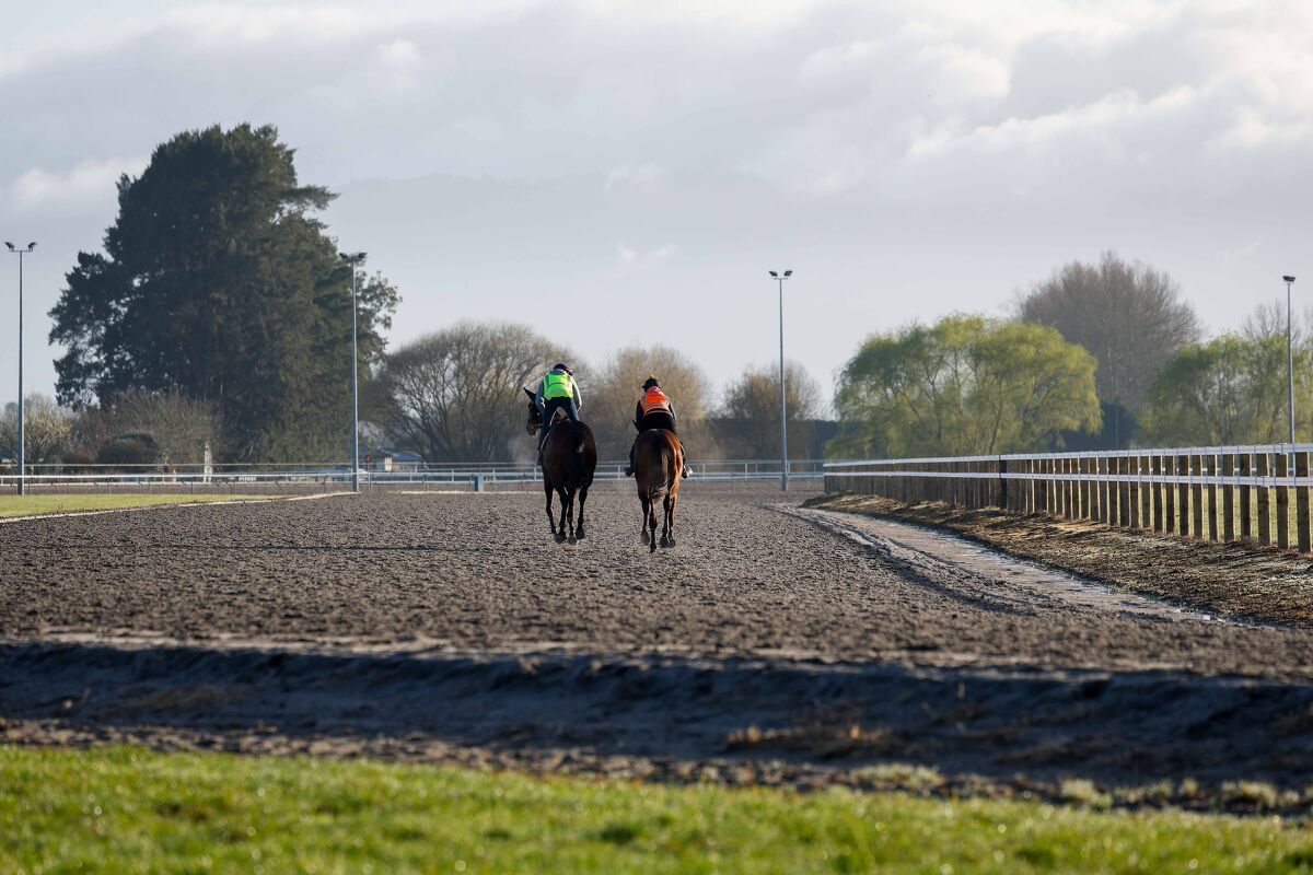 Te Akau Thursday Trans-Tasman Trackwork