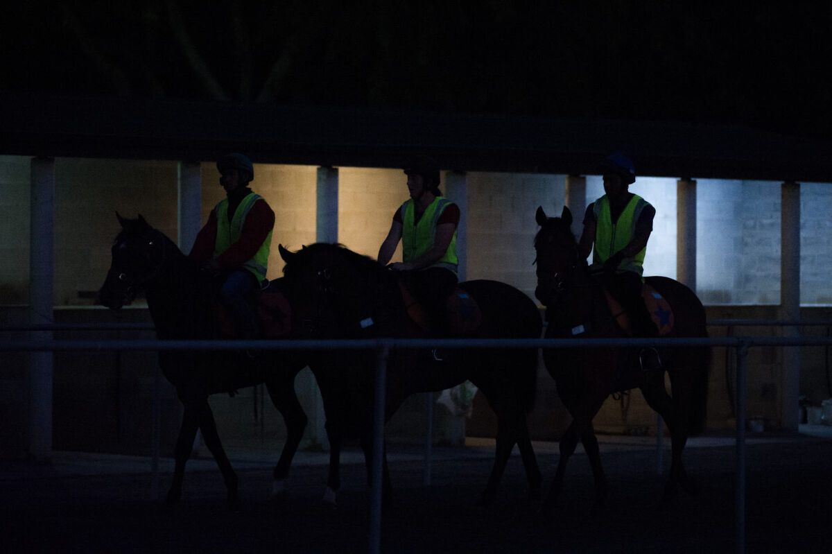 Te Akau Thursday Trackwork