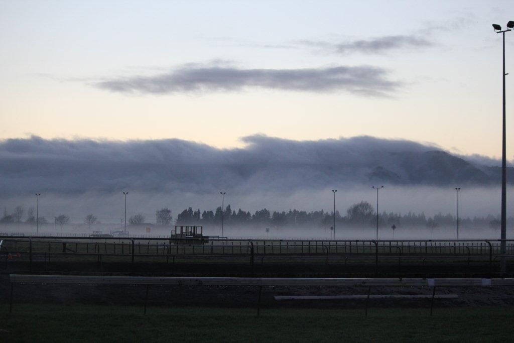 Te Akau Wednesday Trackwork