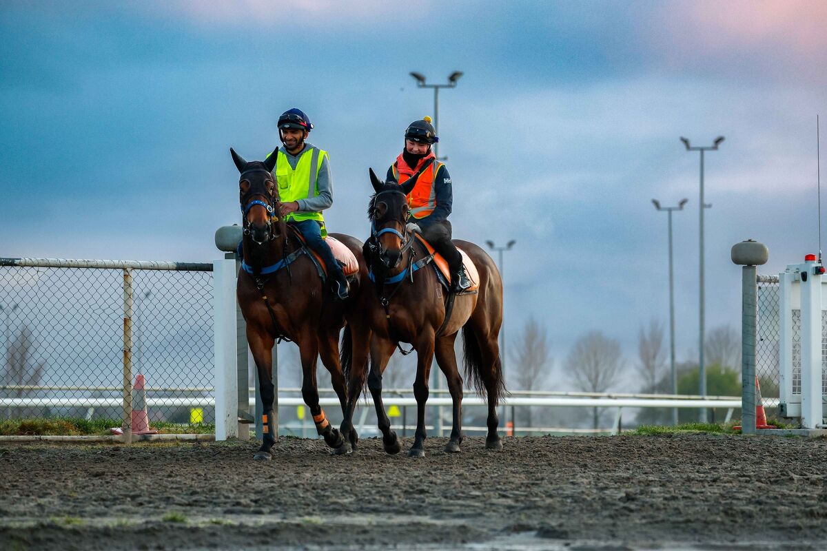 Te Akau Trans-Tasman Trackwork Highlights
