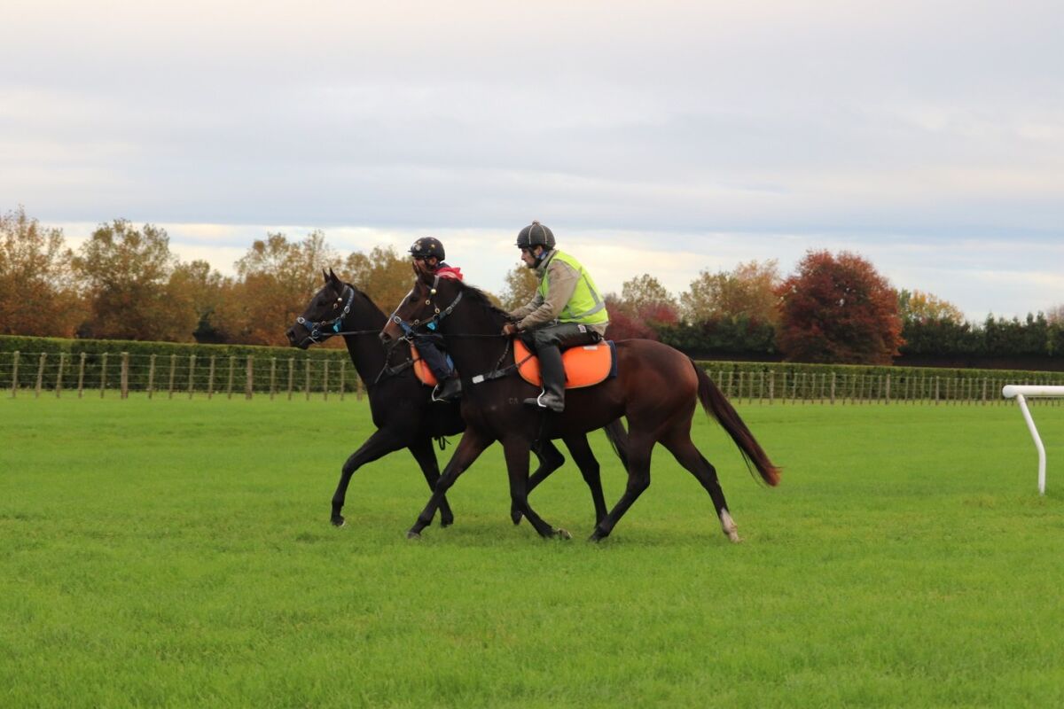 Te Akau Friday Trackwork