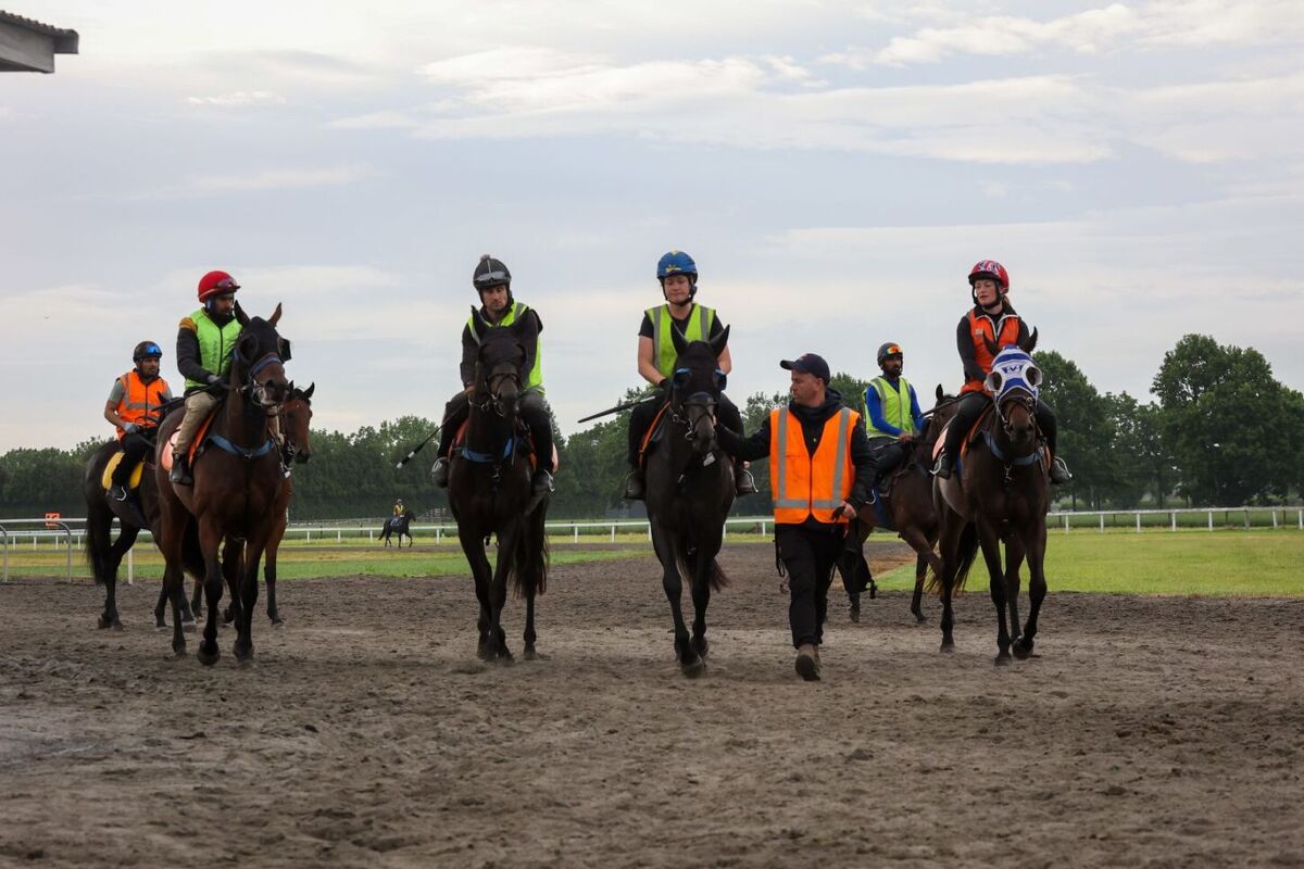 Te Akau Tuesday Trackwork