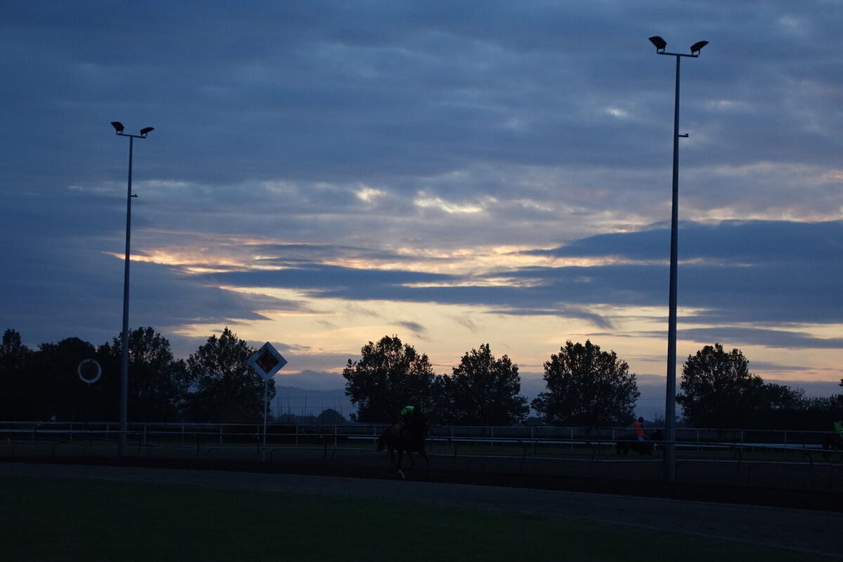 Te Akau Tuesday Trackwork