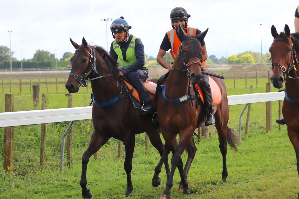 Te Akau Thursday Trackwork