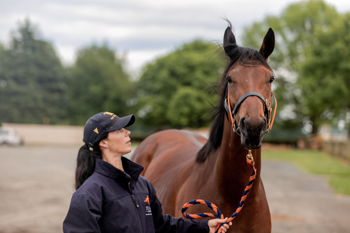 Te Akau Weekend Trackwork
