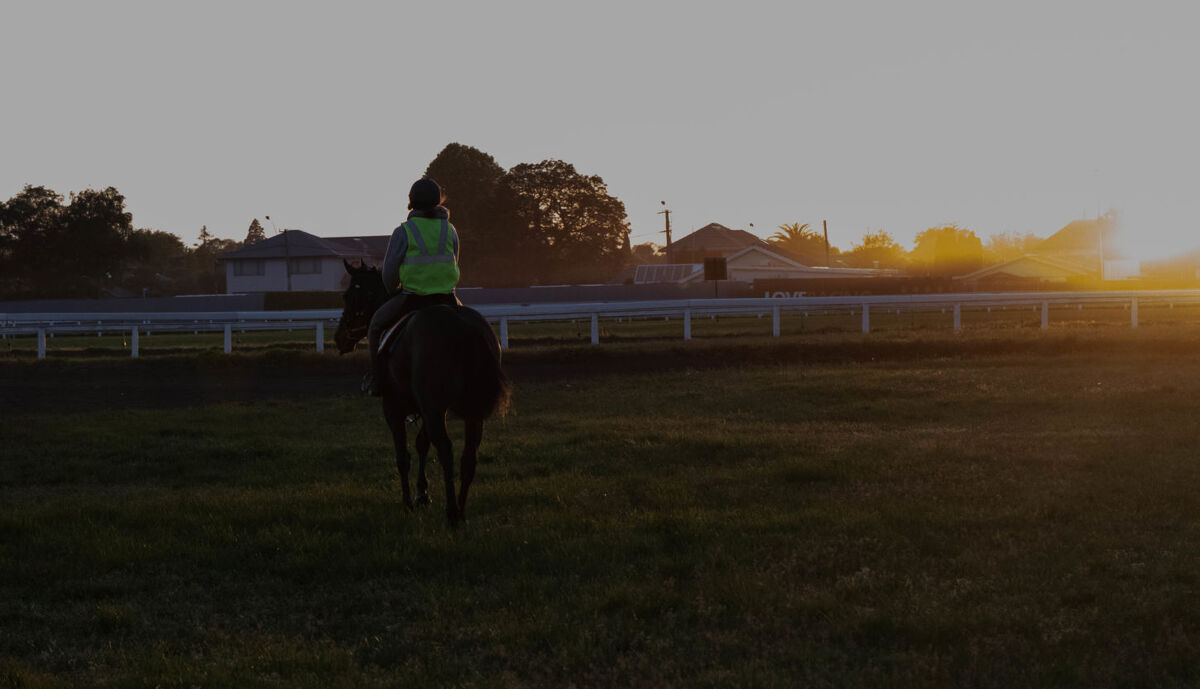 Te Akau Thursday Trackwork