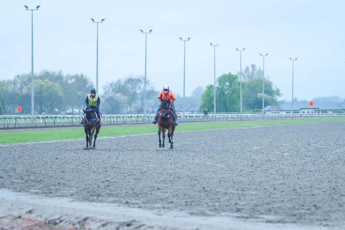Te Akau Thursday Trackwork