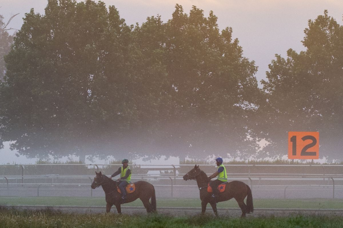 Te Akau Thursday Trackwork
