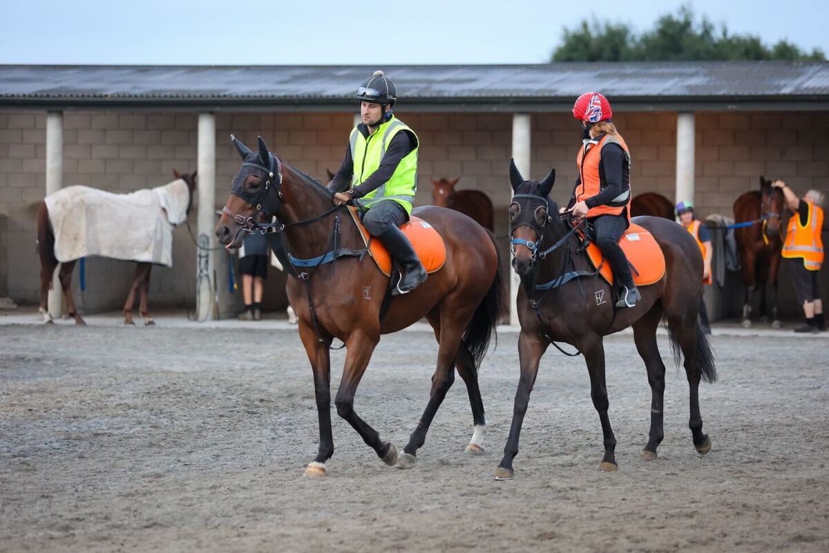 Te Akau Tuesday Trackwork