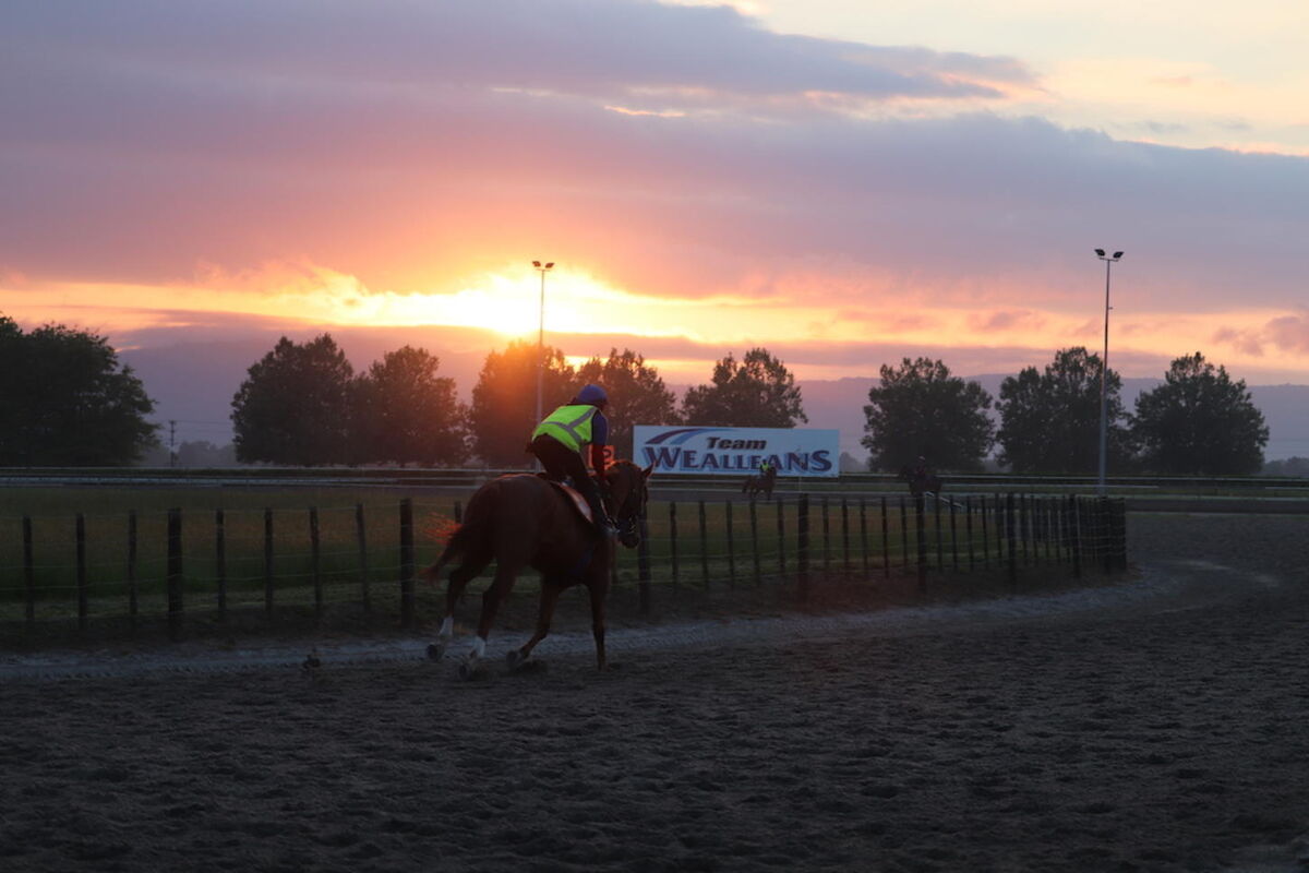 Te Akau Trackwork Update