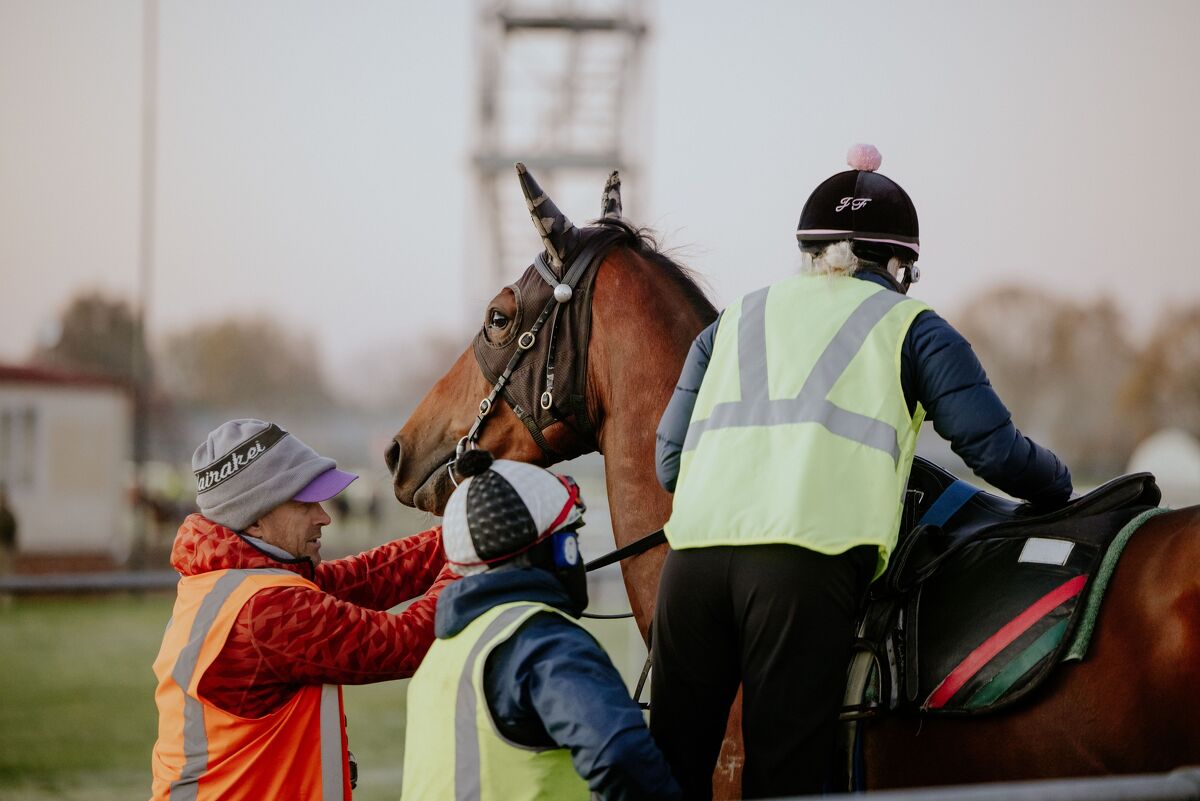 Te Akau Trans Tasman Trackwork