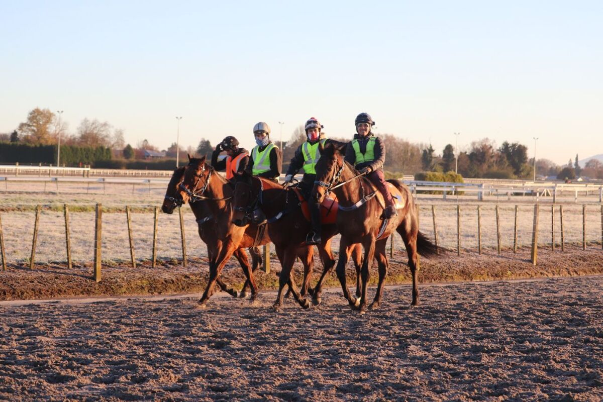Te Akau Thursday Trackwork