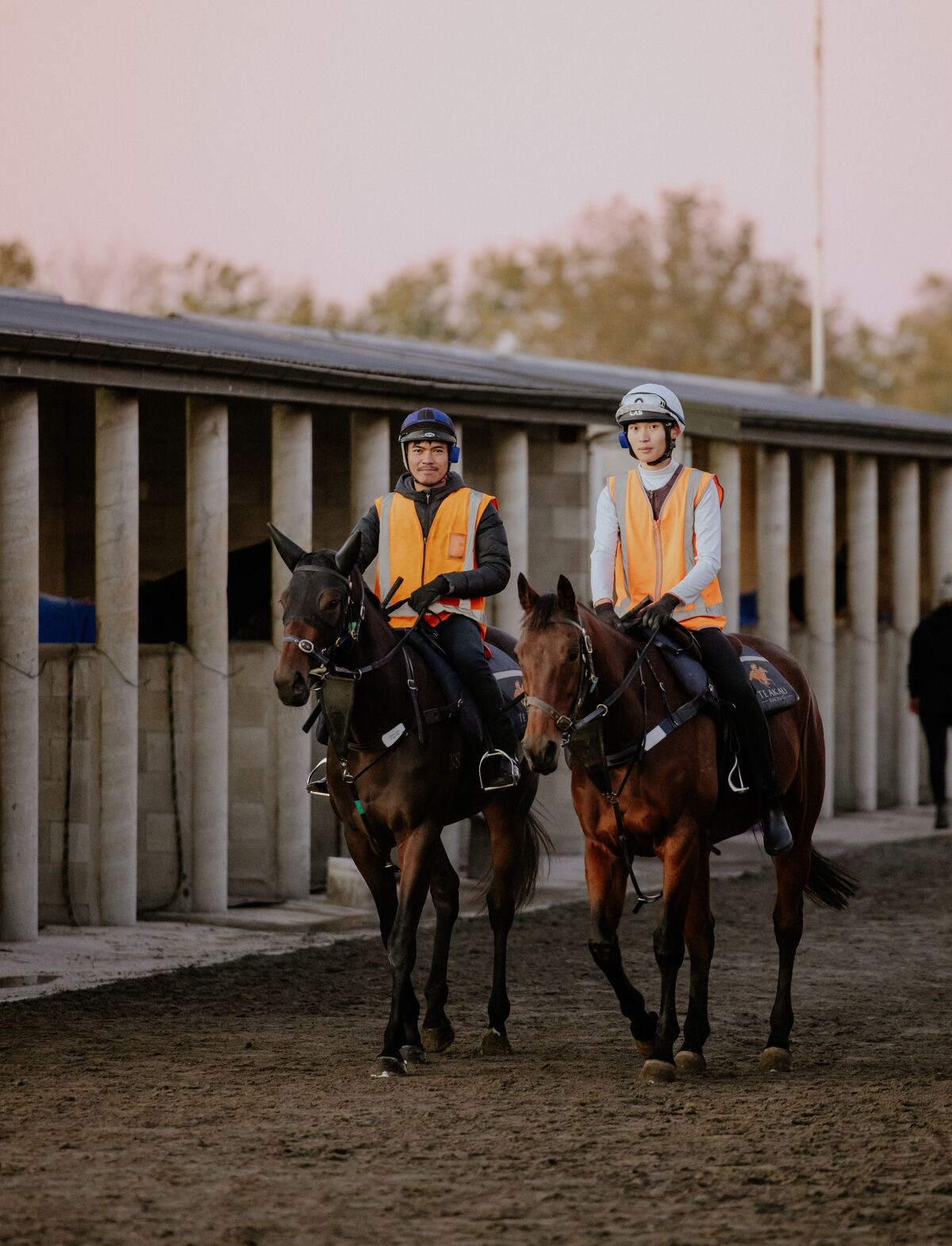 Te Akau Tuesday Trans Tasman Trackwork