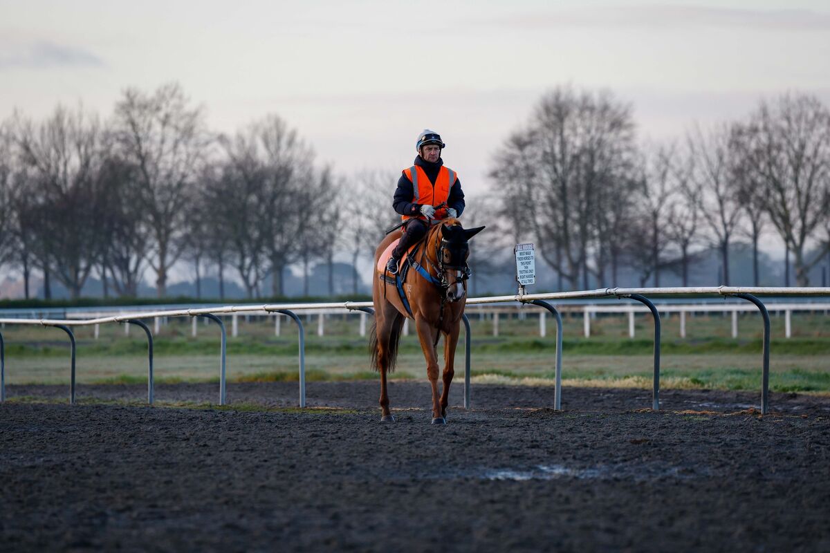 Te Akau Trans Tasman Saturday Trackwork