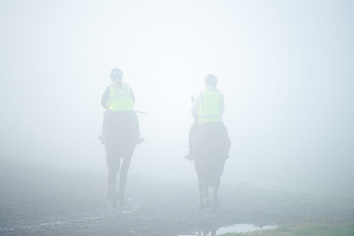 Te Akau Weekend Trackwork