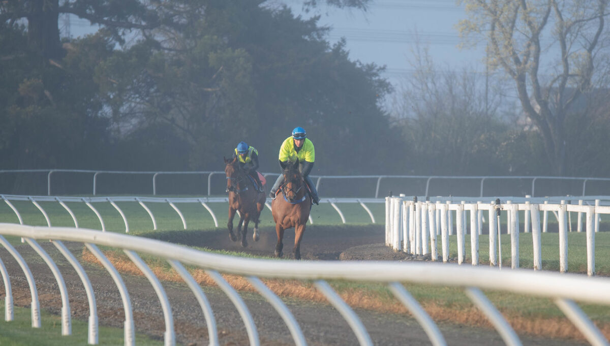 Te Akau Thursday Trackwork