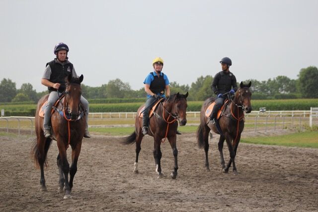 Te Akau Midweek Trackwork
