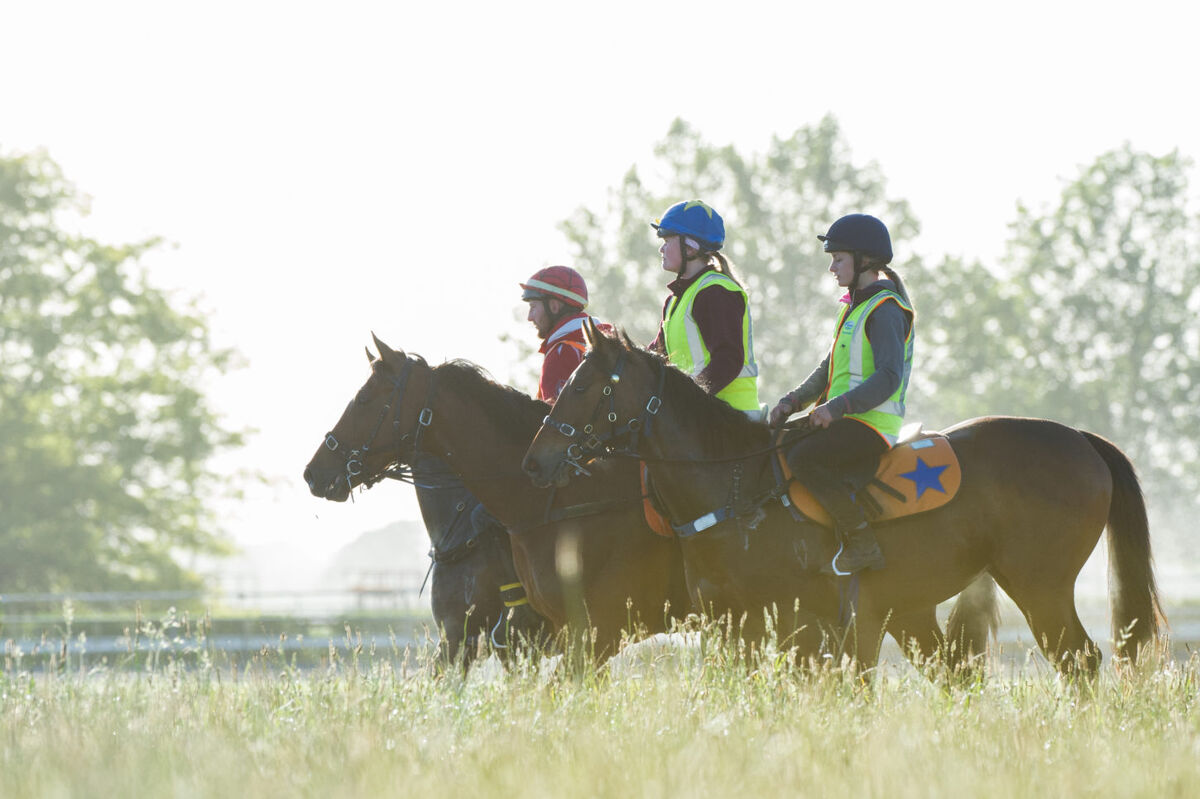 Te Akau Tuesday Trackwork
