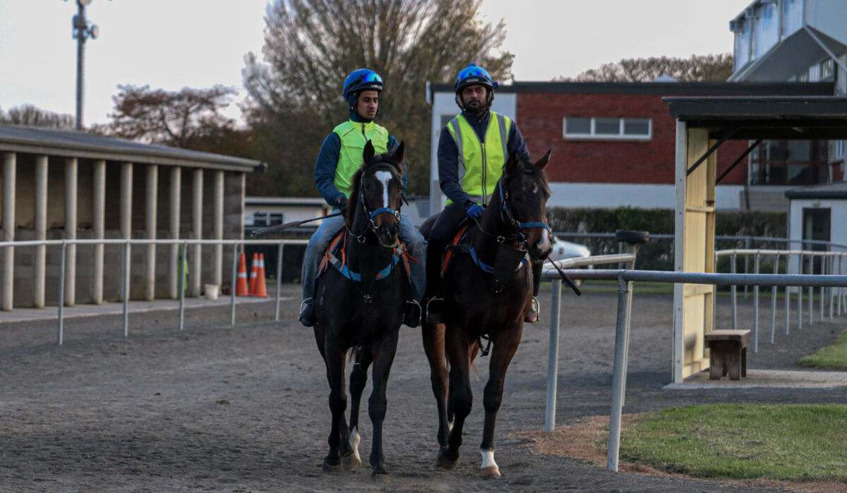 Te Akau Tuesday Trackwork