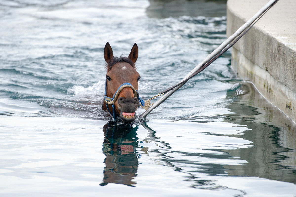 Te Akau Thursday Trackwork