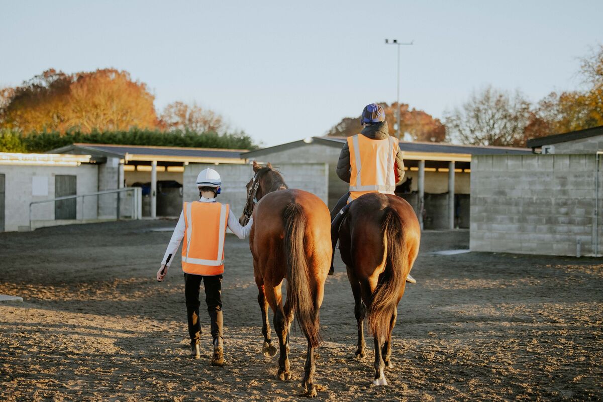 Te Akau Trans Tasman Trackwork