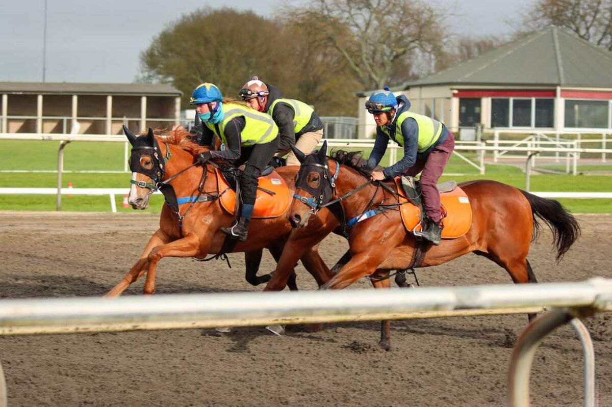 Te Akau Thursday Trackwork