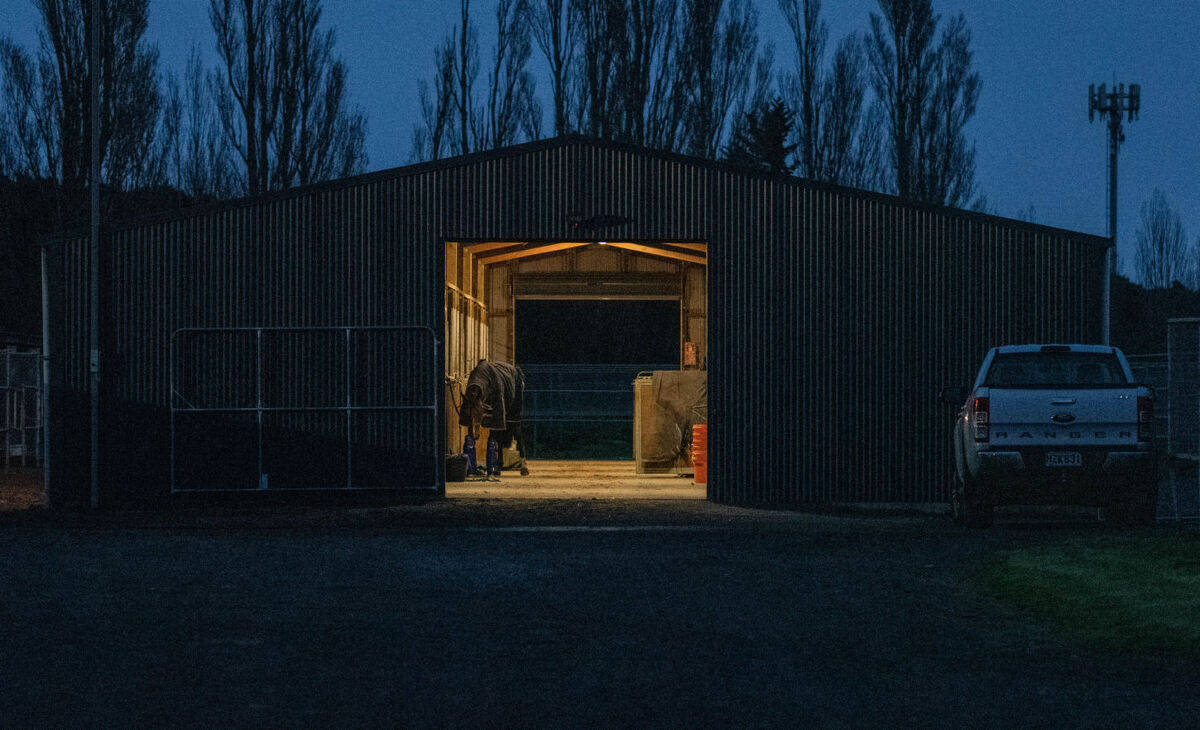 Te Akau Tuesday Trackwork
