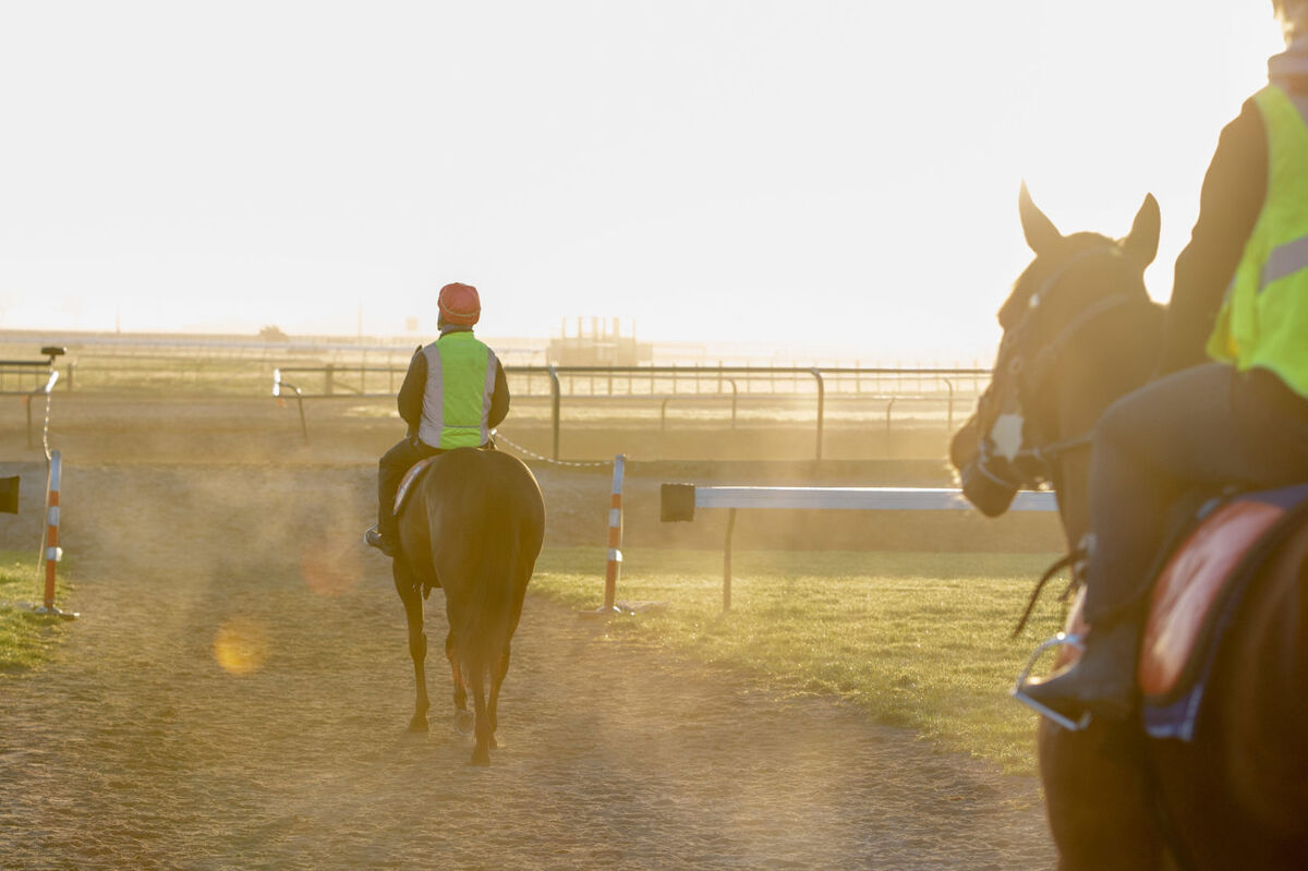 Te Akau Thursday Trackwork
