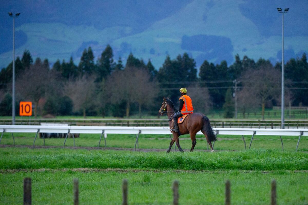 Te Akau Weekend Trackwork