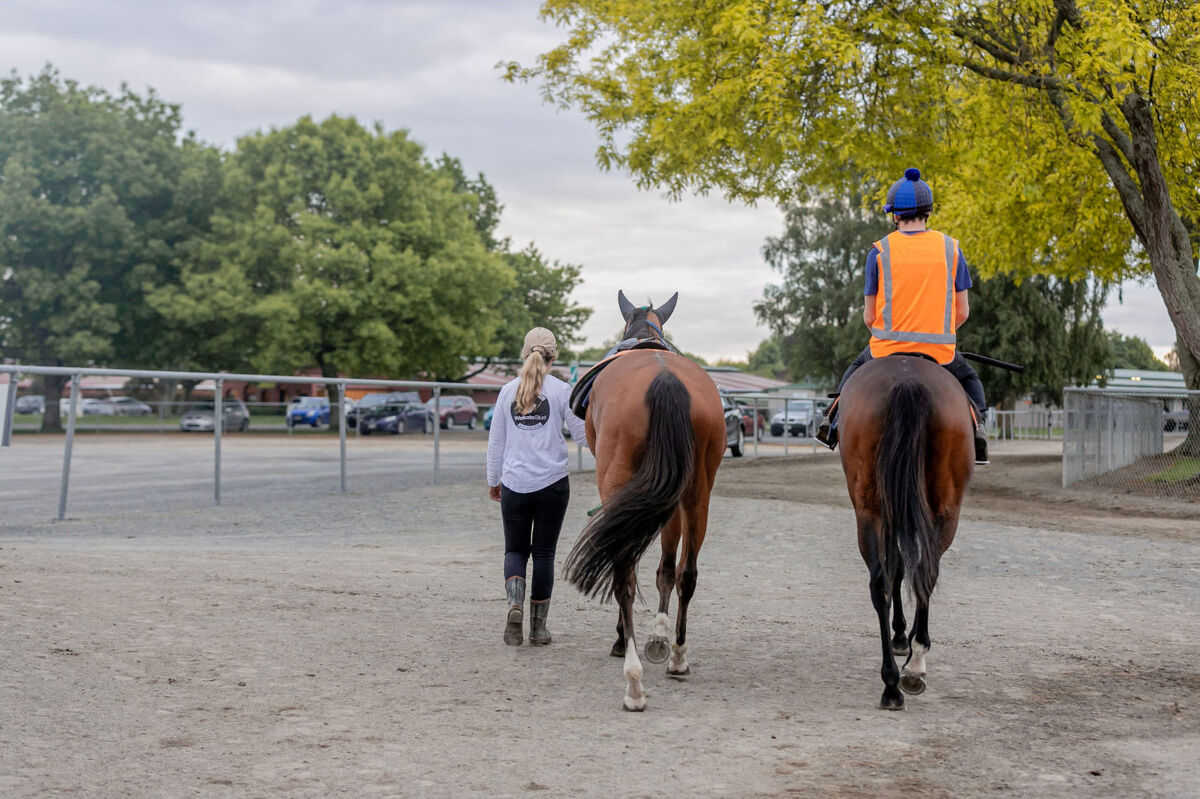 Te Akau Weekend Trackwork