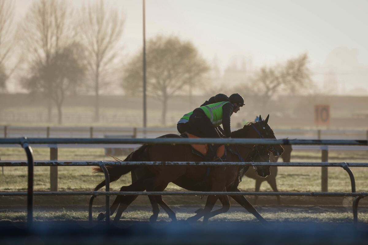 Te Akau Trans Tasman Weekend Trackwork