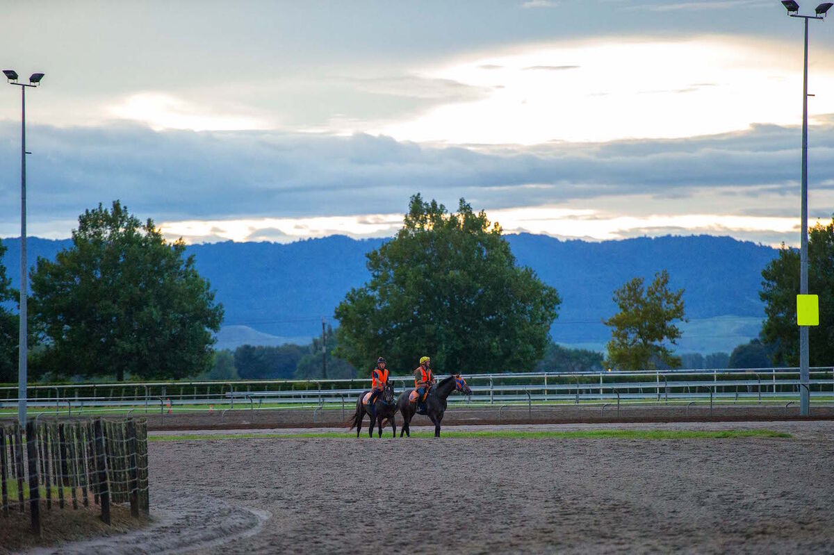 Te Akau Weekend Trackwork