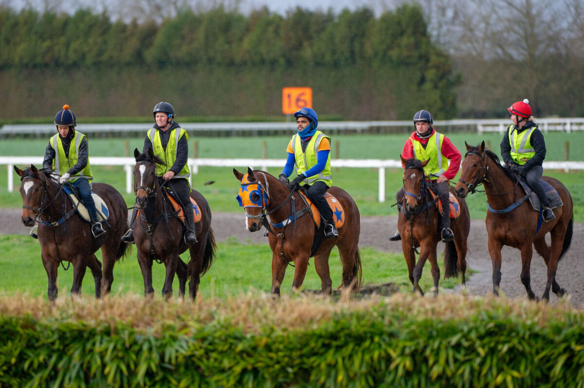Te Akau Tuesday Trackwork