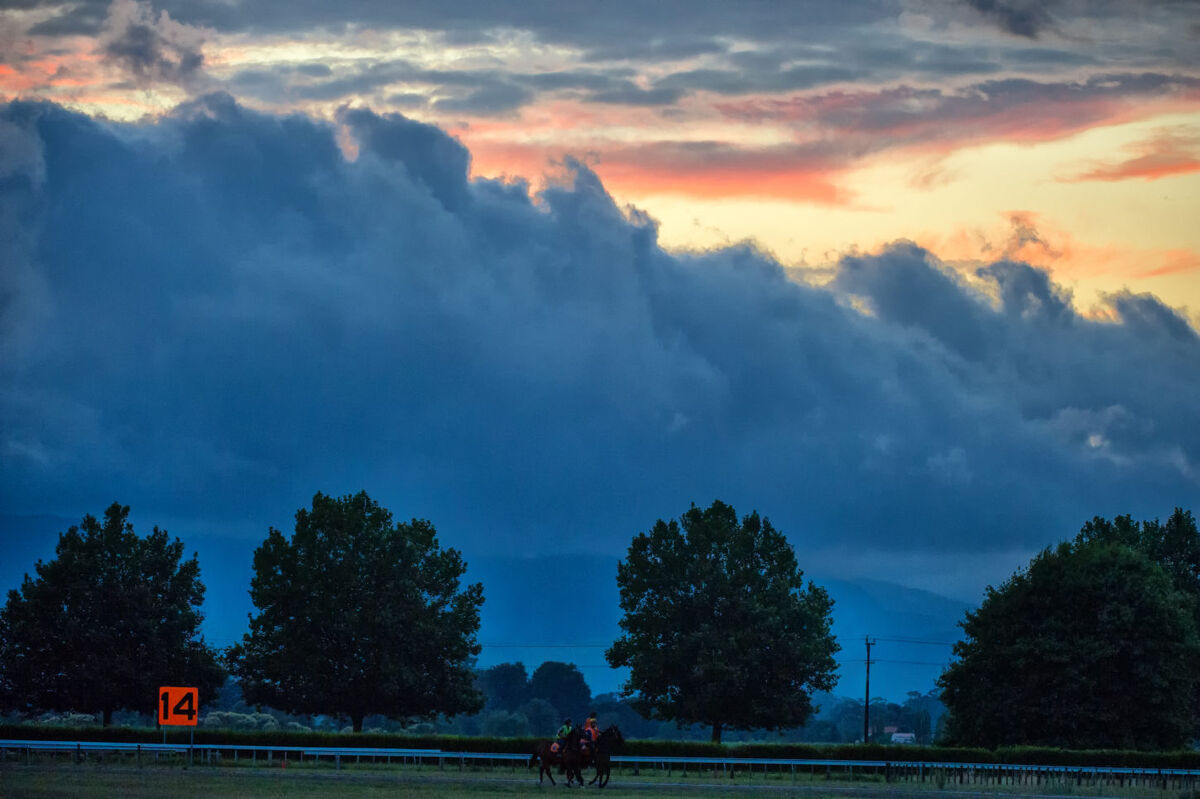 Te Akau Tuesday Trackwork