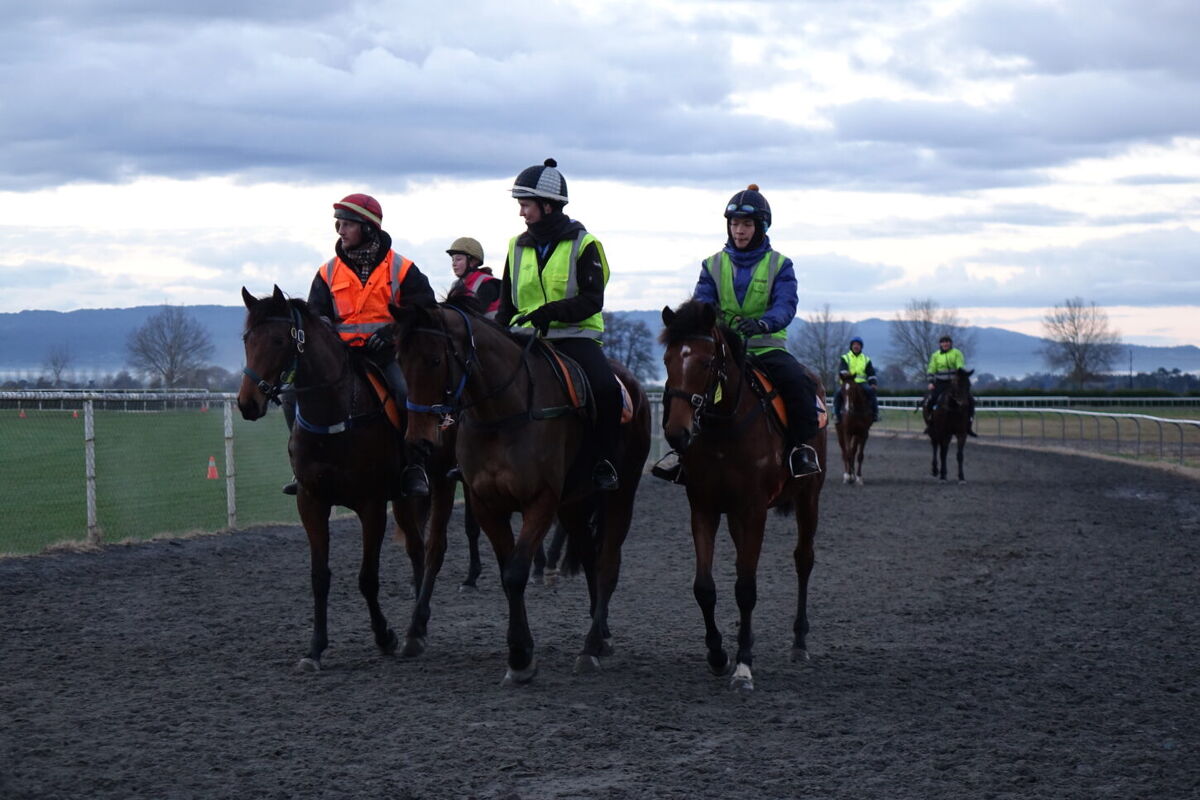 Te Akau Tuesday Trackwork