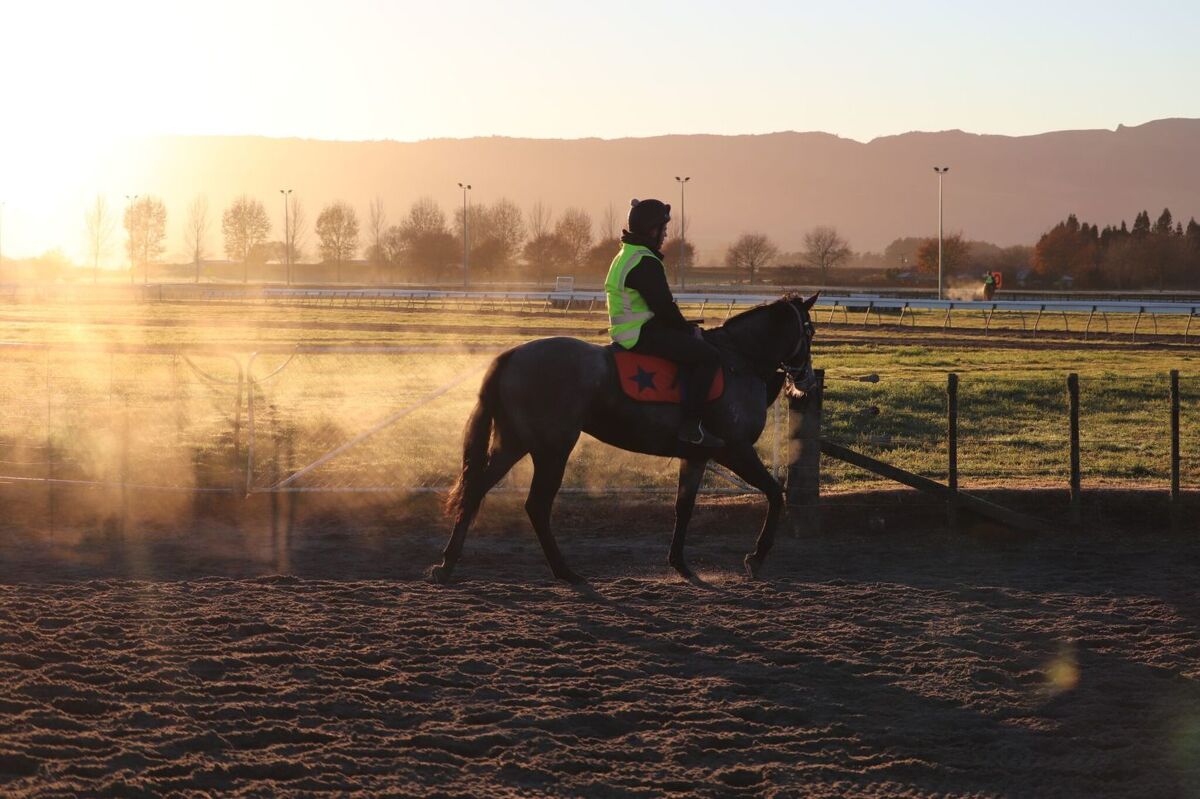 Te Akau Tuesday Trackwork