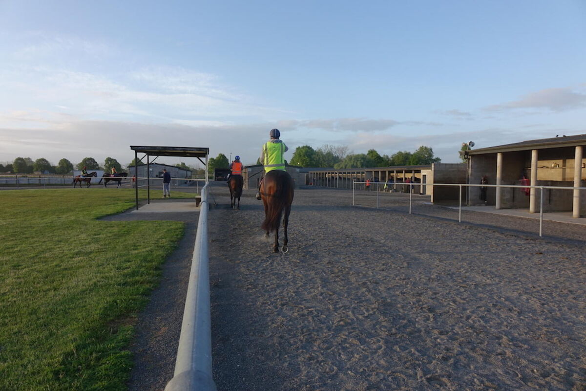 Te Akau Thursday Trackwork