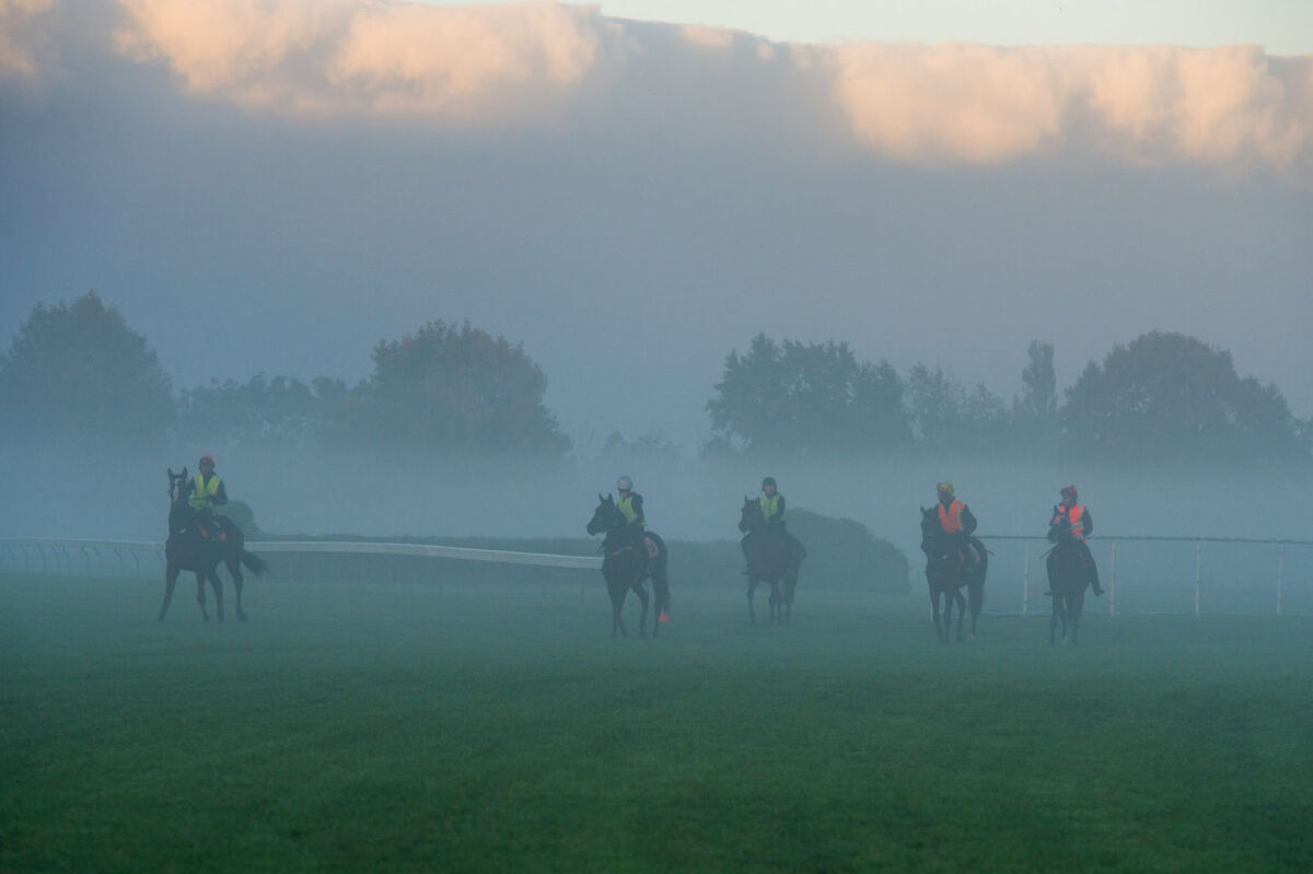 Te Akau Tuesday Trackwork