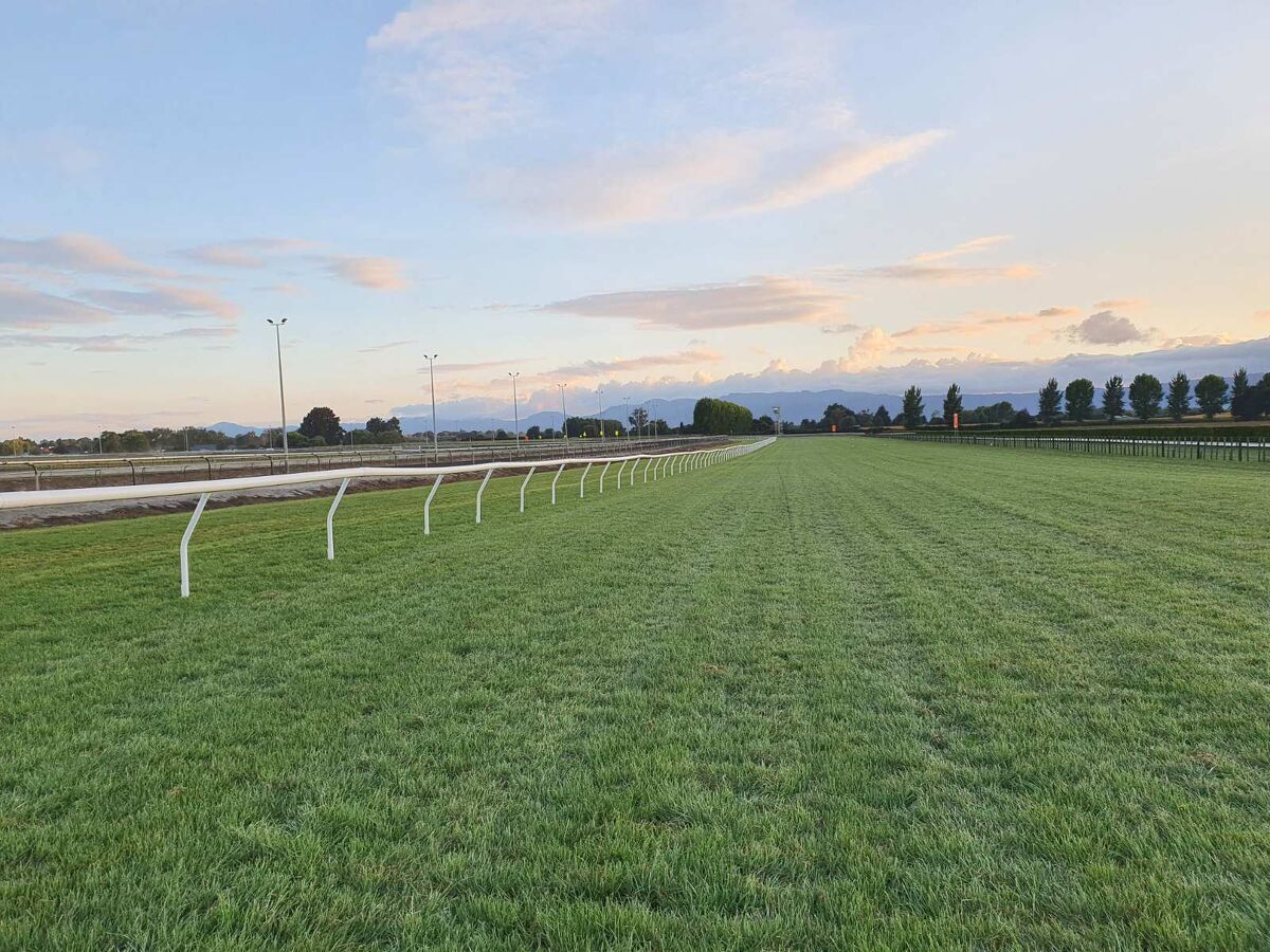 Te Akau Weekend Trackwork