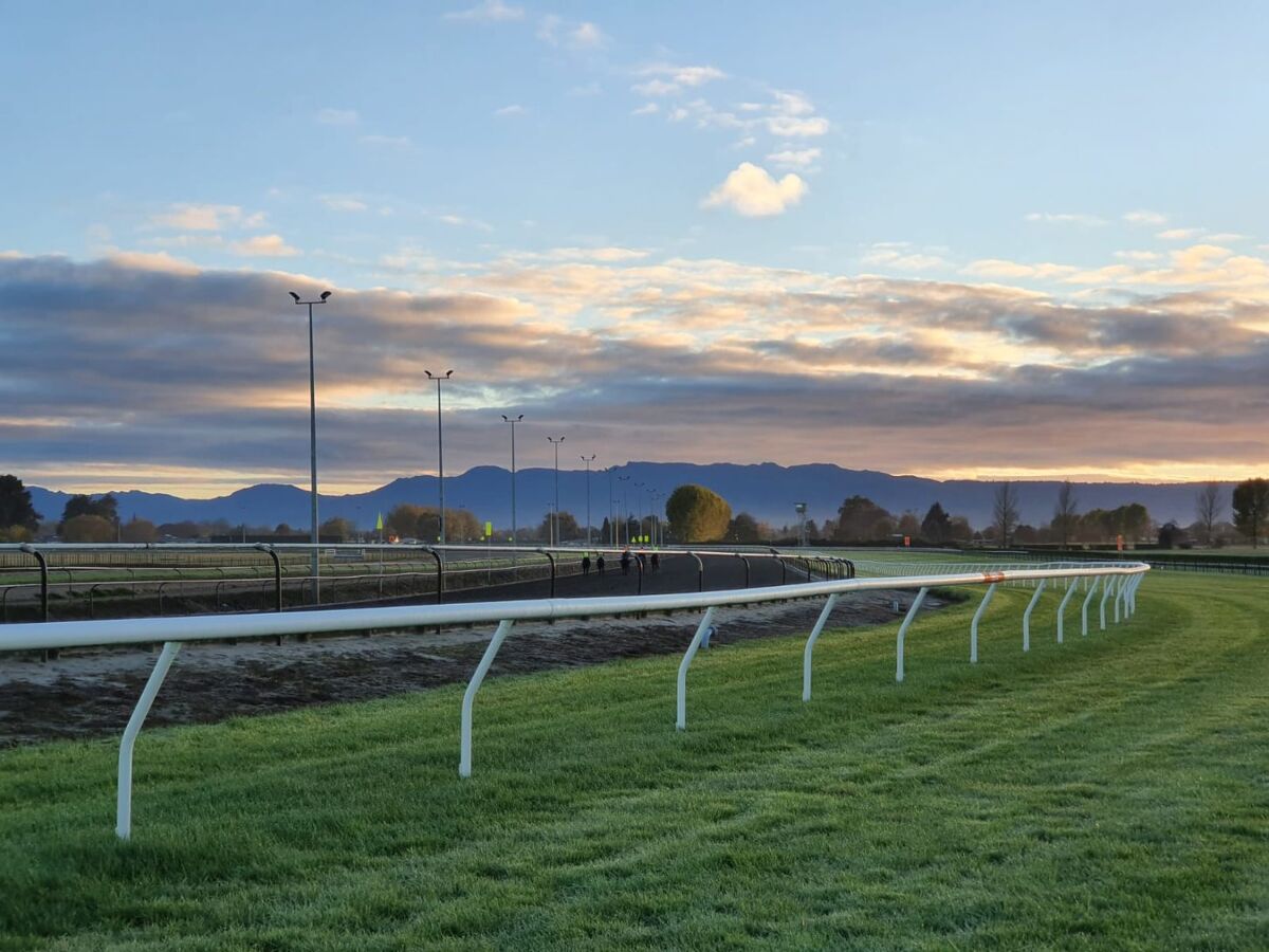 Te Akau Tuesday Trackwork