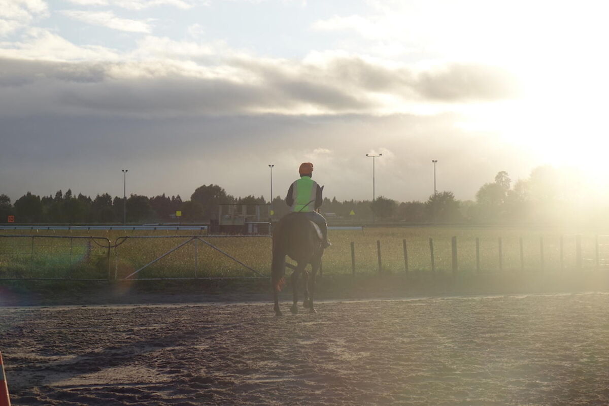 Te Akau Friday Trackwork
