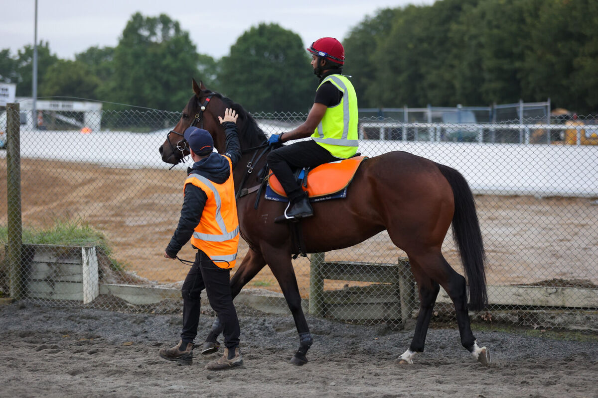 Te Akau Thursday Trackwork