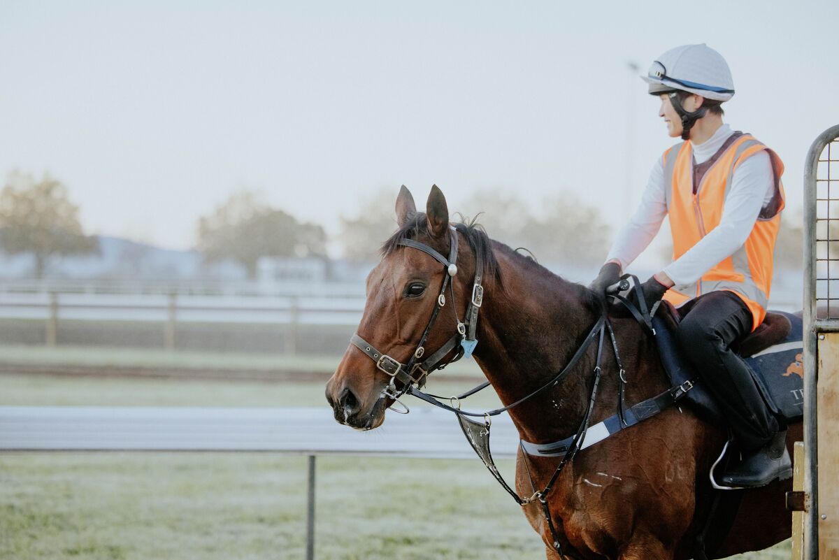 Te Akau Trans Tasman Weekend Trackwork