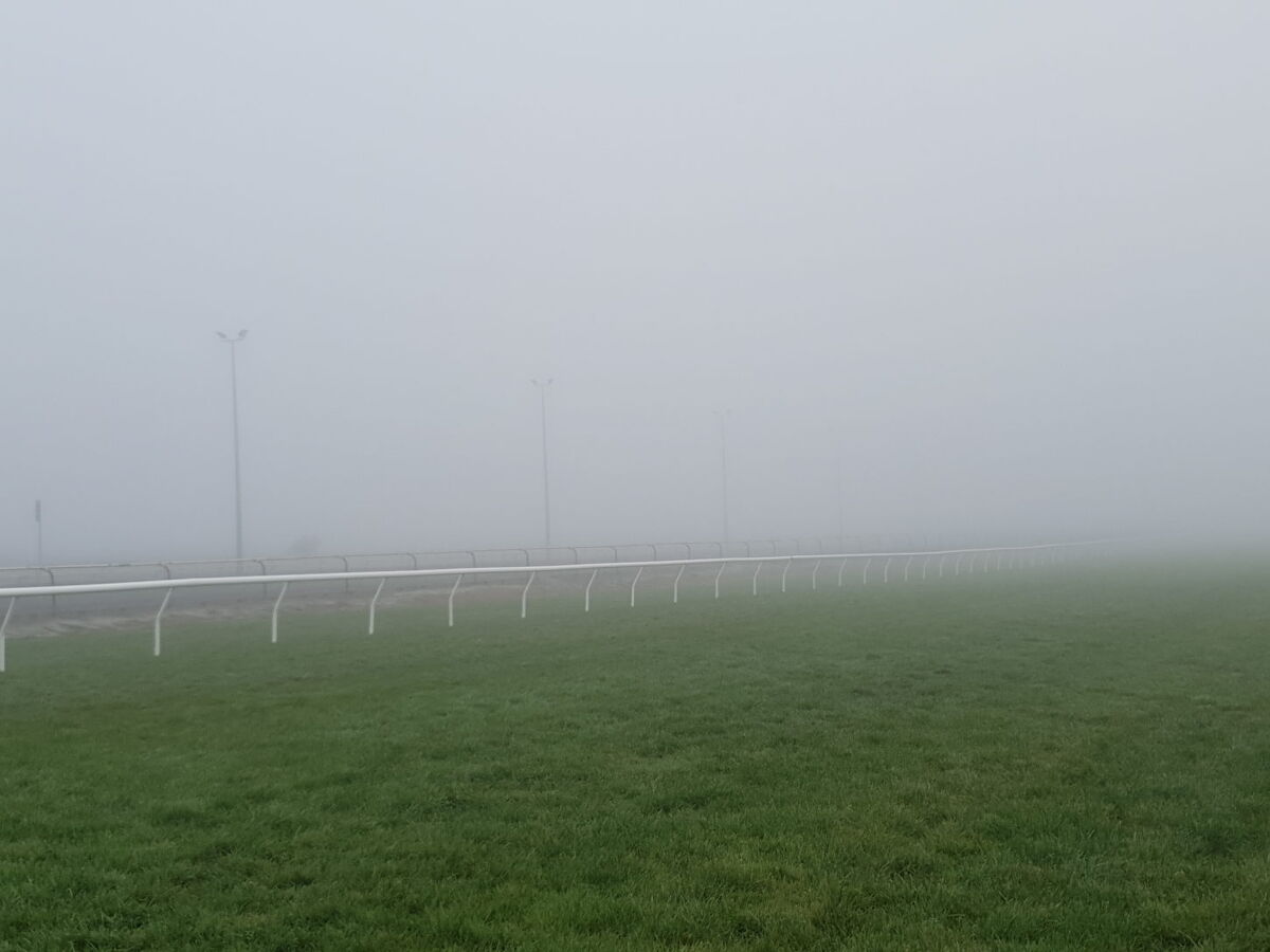 Te Akau Thursday Trackwork