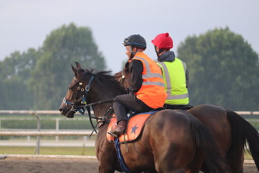 Te Akau Tuesday Trackwork