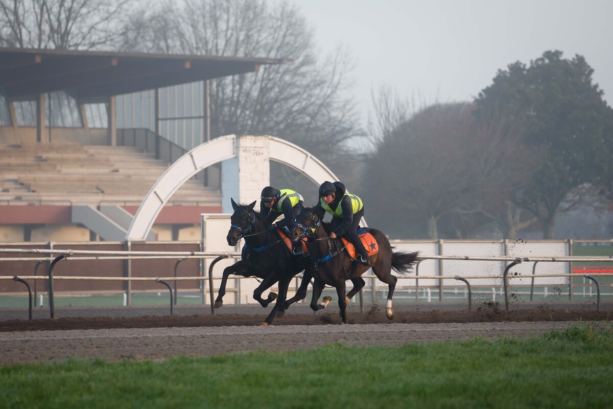 Te Akau NI Friday Trackwork
