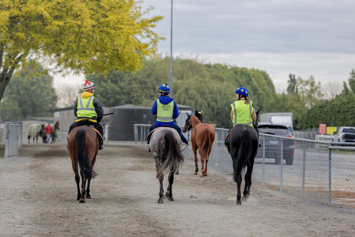 Te Akau Thursday Trackwork